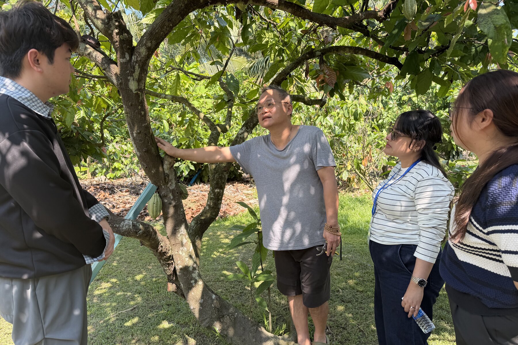 Malaysia Lees Cocoa Farm 可可园